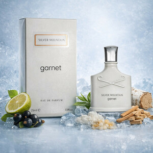 ادکلن  گارنت مدل Silver Mountain  حجم 25 میلی‌لیتر