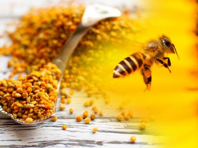 مزایا و کاربردهای بره‌موم