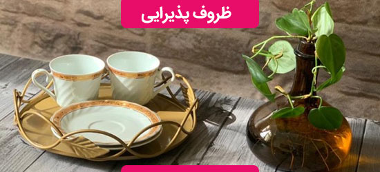 ظروف پذیرائی
