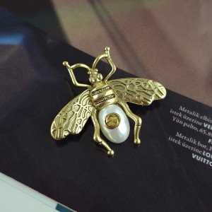 سنجاق لباس حشره