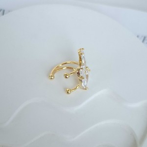 مدل جدید ایرکاف