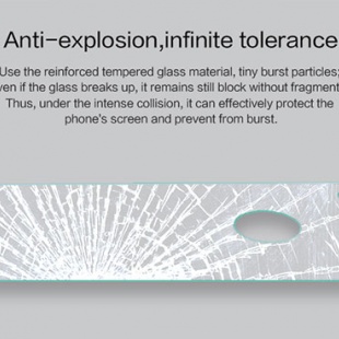 محافظ شیشه ای پشت گوشی نقره ای Apple iPhone 6 Plus