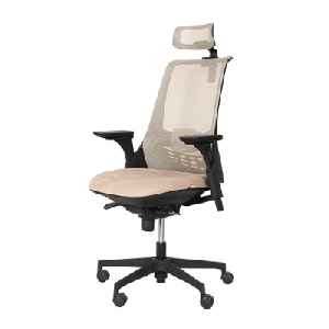 صندلی کارشناسی لیو - X81su