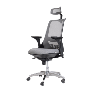 صندلی کارشناسی لیو - X81spu
