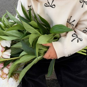 بلوز نوزادی دخترانه طرح پاپیون