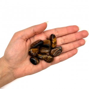 چشم ببر تامبل