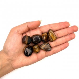 چشم ببر تامبل