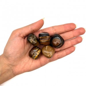 چشم ببر تامبل