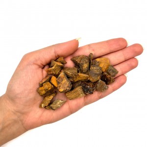 چشم ببر راف