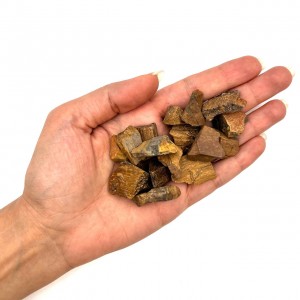 چشم ببر راف