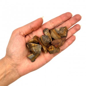 چشم ببر راف