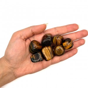 چشم ببر تامبل