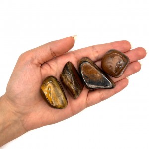 چشم ببر تامبل