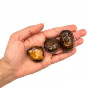 چشم ببر تامبل