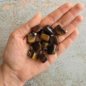آویز چشم ببر