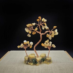 درختچه ثروت سه شاخه  جید زرد