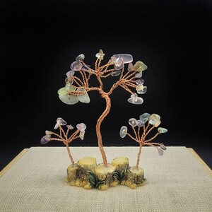 درختچه ثروت سه شاخه فلورین( فلوریت)