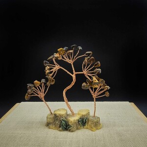 درختچه ثروت سه شاخه چشم ببر