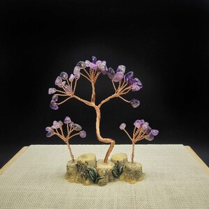 درختچه ثروت سه شاخه آمیتیست