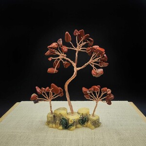 درختچه ثروت سه شاخه جاسپر سرخ