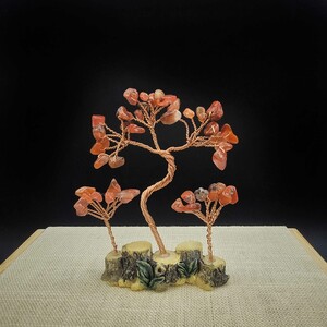 درختچه ثروت سه شاخه عقیق سرخ