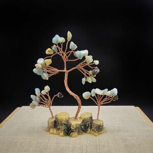 درختچه ثروت سه شاخه آمازونیت