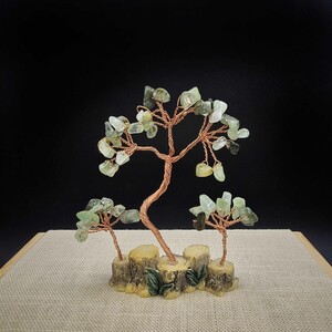 درختچه ثروت سه شاخه پرهنیت