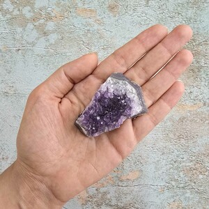 امیتیست راف برزیل کد 27