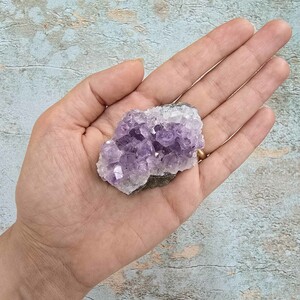 امیتیست راف برزیل کد 28