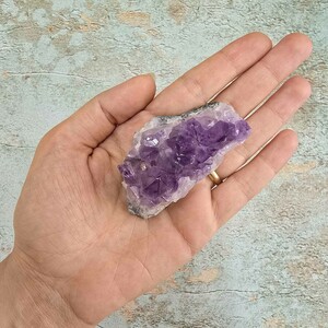 امیتیست راف برزیل کد 29