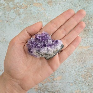 امیتیست راف برزیل کد 30