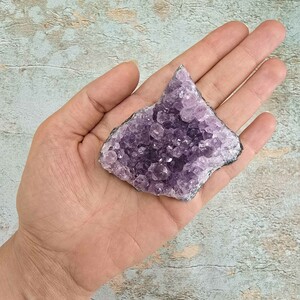 امیتیست راف برزیل کد 31