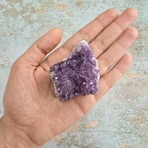 امیتیست راف برزیل کد 35