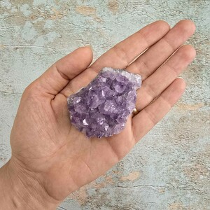 امیتیست راف برزیل کد 39