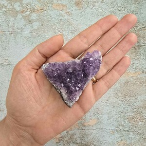 امیتیست راف برزیل کد 40