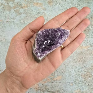 امیتیست راف برزیل کد 41