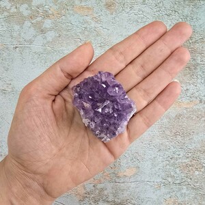 امیتیست راف برزیل کد 42