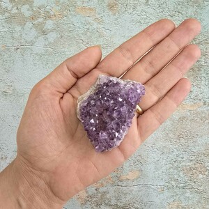 امیتیست راف برزیل کد 45