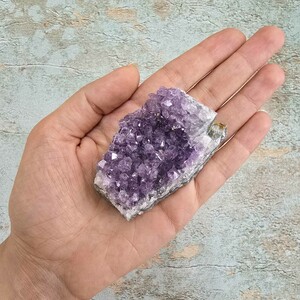 امیتیست راف برزیل کد 47