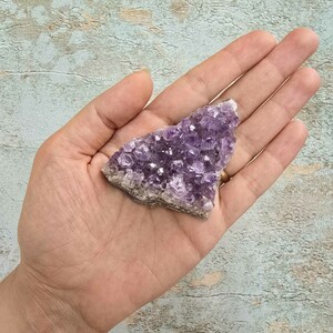 امیتیست راف برزیل کد 51