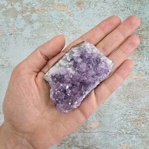 امیتیست راف برزیل کد 52