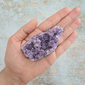 امیتیست راف برزیل کد 53