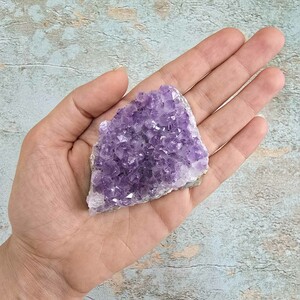 امیتیست راف برزیل کد 54