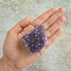 امیتیست راف برزیل کد 59