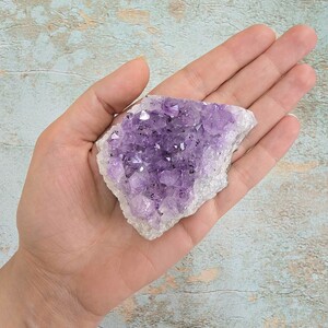 امیتیست راف برزیل کد 60