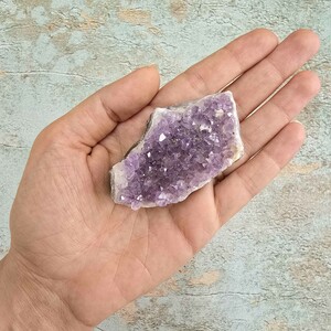 امیتیست راف برزیل کد 61