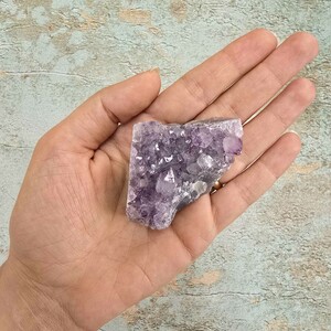 امیتیست راف برزیل کد 63