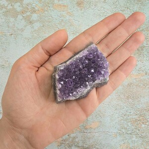 امیتیست راف برزیل کد 64