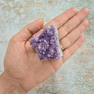 امیتیست راف برزیل کد 71