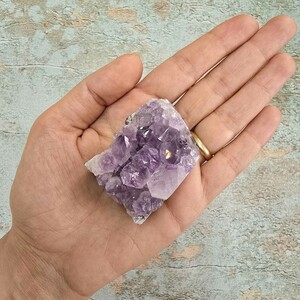 امیتیست راف برزیل کد 73